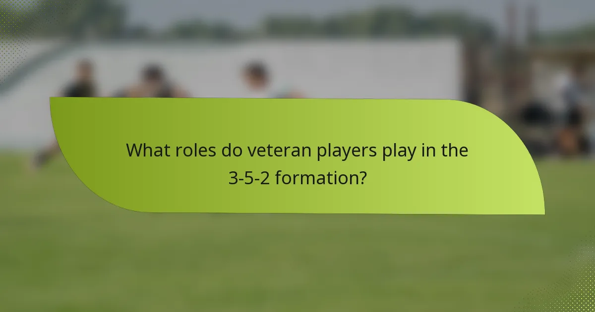 What roles do veteran players play in the 3-5-2 formation?
